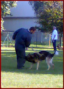 BAKOU6.jpg